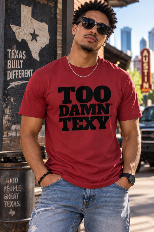 Men's Too Damn Texy Premium Heavyweight T-Shirt